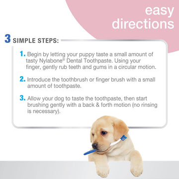 Nylabone Advanced Oral Care Dog Dental Kit