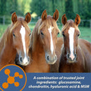 Farnam MaxFlex XR Extended Release Joint Supplement for Horses (30 day supply)