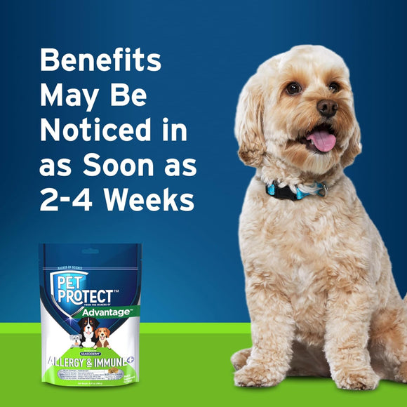 Pet Protect Allergy & Immune + Soft Chews for Dogs (60 ct)