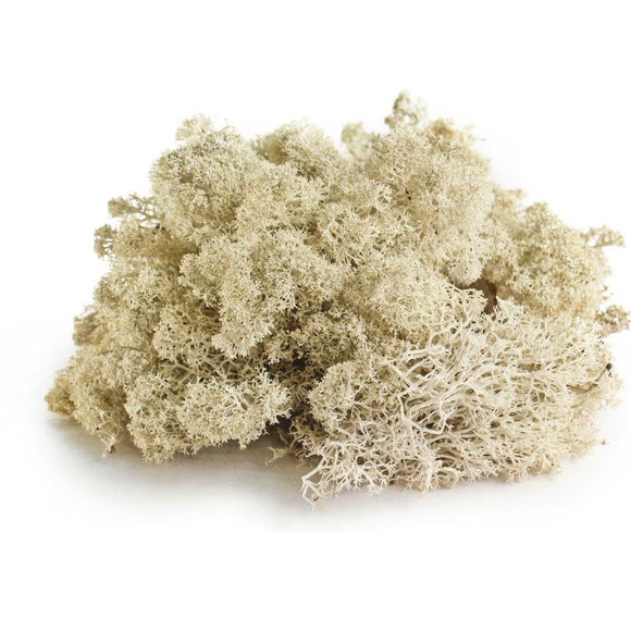 Galapagos Arid Environment Terrarium Starter Kit For Reptiles & Amphibians