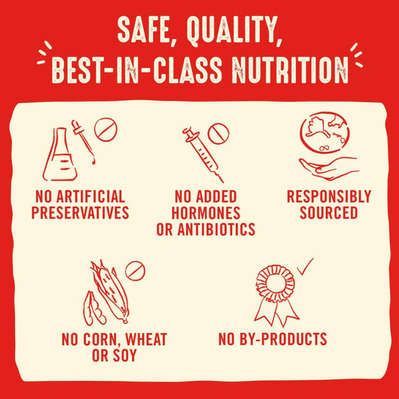 Stella & Chewy's Perfectly Beef & Salmon Dinner Patties Freeze-Dried Raw Food For Puppies (5.5 oz)