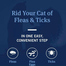 PetArmor Plus Flea & Tick Shampoo for Cats (12 oz)