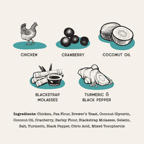 Dog Treat Naturals Superfood Sticks Chicken & Cranberry Dog Treats (10 oz)