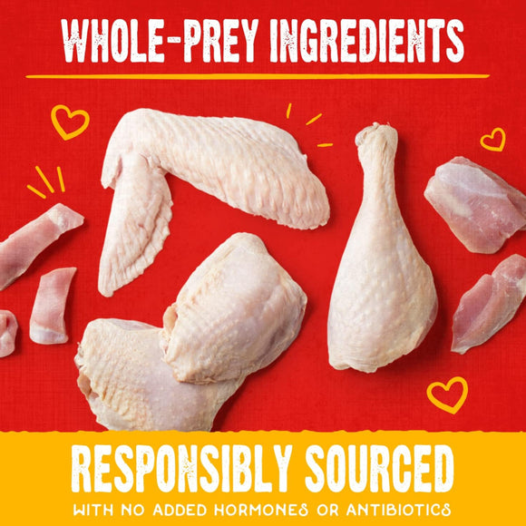 Stella & Chewy's Raw Coated Biscuits Cage-Free Chicken Recipe Crunchy Dog Treats (9 oz)