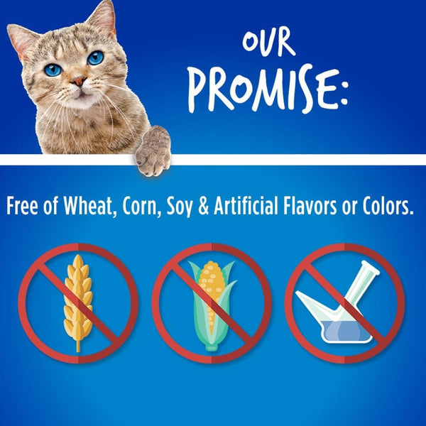 Fruitables Limited Ingredient Chicken with Blueberry Crunchy Treats For Cats