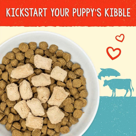 Stella & Chewy's Perfectly Beef & Salmon Meal Mixers Freeze-Dried Raw Topper For Puppies (18 oz)