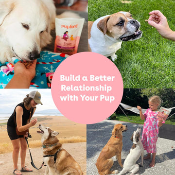 Pupford Train Freeze-Dried Chicken Training Treats for Dogs (4 oz)