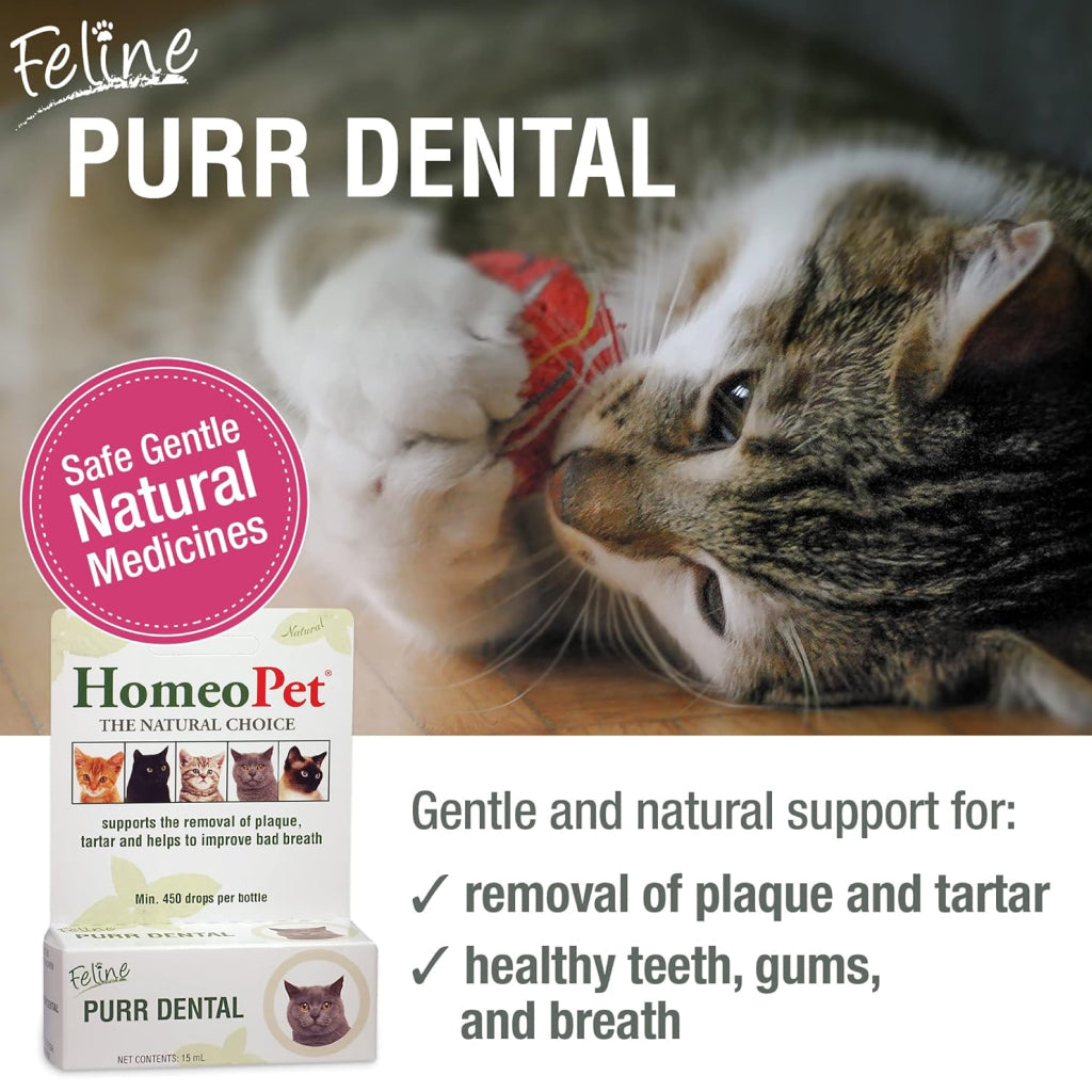 HomeoPet Feline Purr Dental for Cats (15 ml)