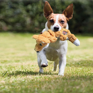 Kong Scrunch Knots Squirrel Toy For Dogs (Small/Medium)