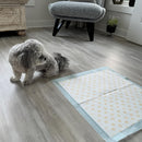Dr. Bales Early Detection Health Monitoring Pee Pads for Dogs (22in x 22in)