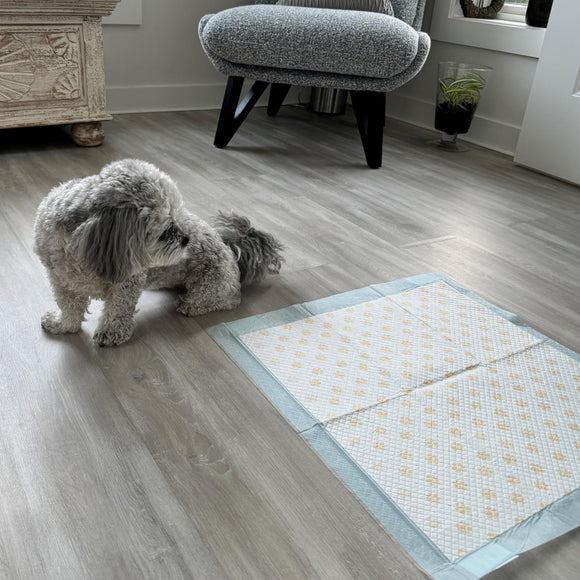 Dr. Bales Early Detection Health Monitoring Pee Pads for Dogs (22in x 22in)