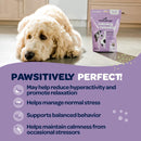 Ready Pet Go Calming & Relaxing Support for Dogs (90 soft chews)