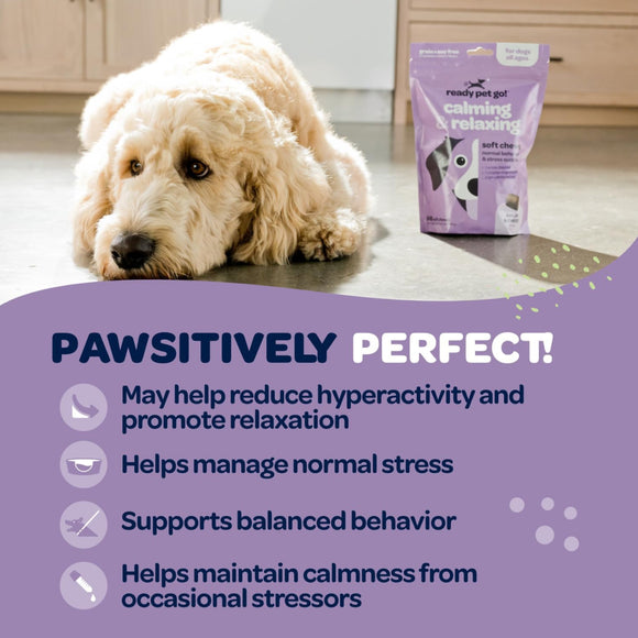 Ready Pet Go Calming & Relaxing Support for Dogs (90 soft chews)