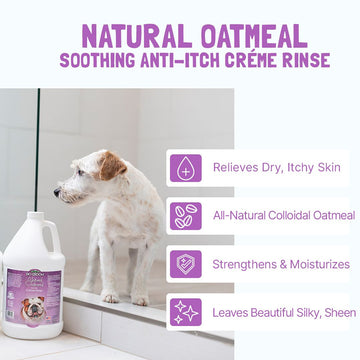 Bio Groom Natural Oatmeal Soothing Anti-Itch Creme Rinse For Dogs (12 oz)