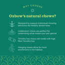 Oxbow Enriched Life Willow Bundle Small Animal Chew Toy