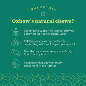 Oxbow Enriched Life Willow Bundle Small Animal Chew Toy
