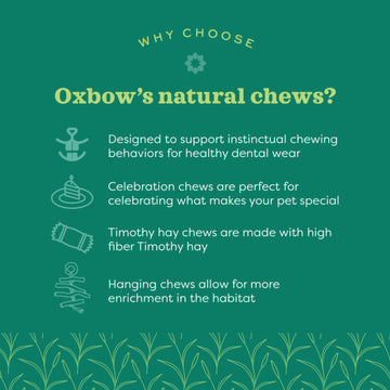 Oxbow Enriched Life Willow Bundle Small Animal Chew Toy