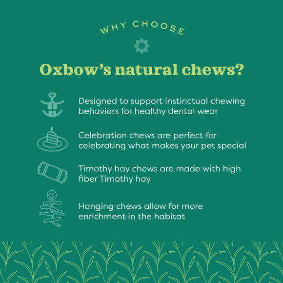 Oxbow Enriched Life Willow Bundle Small Animal Chew Toy