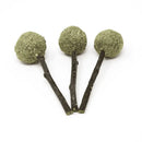 Oxbow Enriched Life Timmy Pops Small Animal Chew Toys