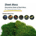 Galapagos Sheet Moss Decorative Sheet of Real Moss for Tropical & Forest Tanks