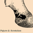 Absorbine Fungasol Skin Treatment Ointment For Horses (13 oz)