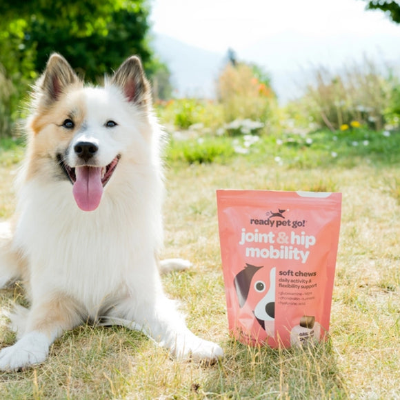 Ready Pet Go Hip & Joint Mobility Support for Dogs (90 soft chews)