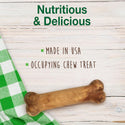 Nylabone Healthy Edibles Natural Long Lasting Bacon Flavor Dog Chew Treat- X-Large/Souper (1 ct)