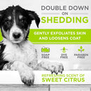 TropiClean PerfectFur Combination Coat Shampoo for Dogs (16 oz)