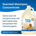 fresh n clean oatmeal dog shampoo