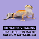 Zilla Vitamin Supplement with Carotene Food Spray For Reptiles (8 oz)