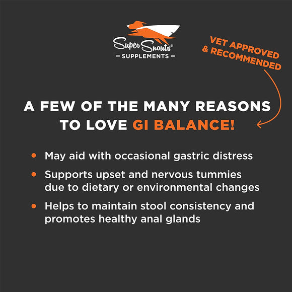 Super Snouts G.I. Balance Digestive Digestive Health & Function Supplement for Dogs & Cats (3.1 oz)