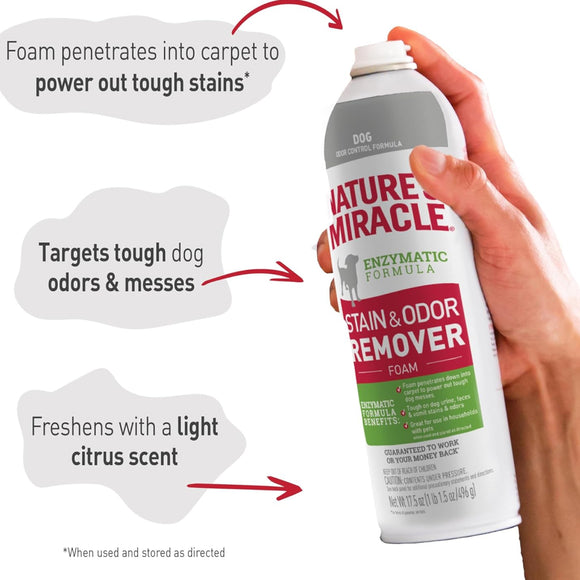 Nature's Miracle Dog Stain and Odor Remover Foam Aerosol Spray (17.5 oz)