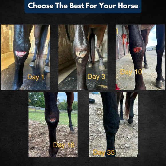 E3 Medicated Wound Cream with Insect Barrier for Horses (6 oz)