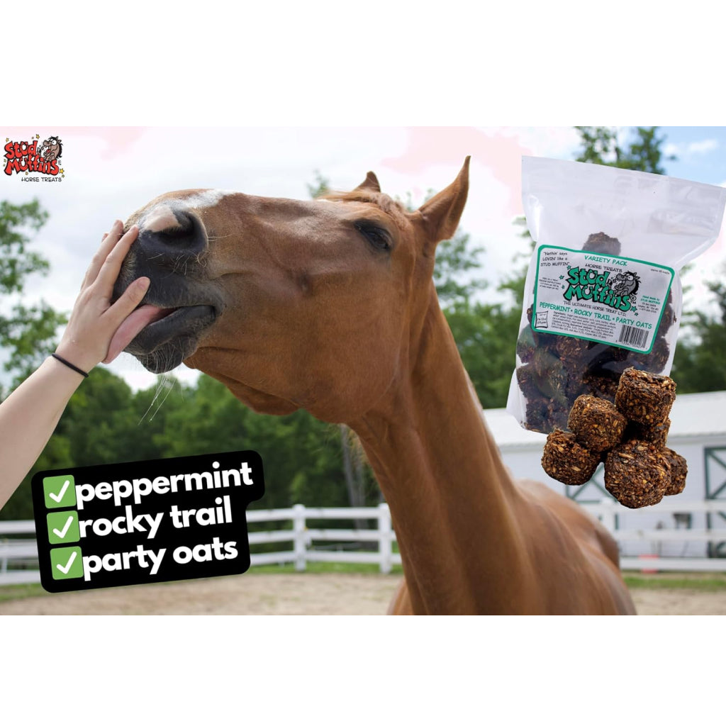 Stud Muffins Variety Pack Horse Treats – Peppermint, Rocky Trail