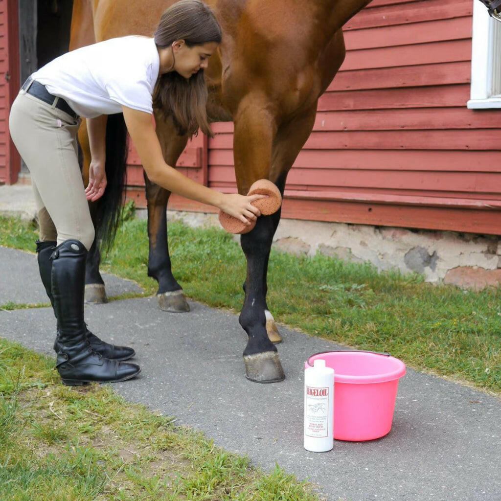 bigeloil horse liniment gel is a trusted equine product for soreness relief.