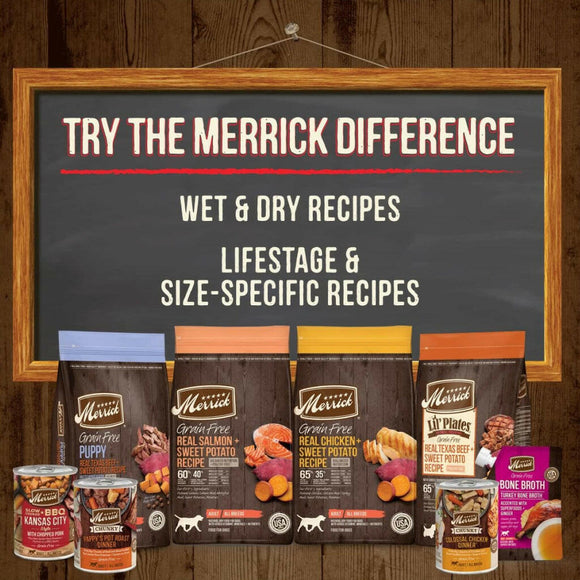 Power Bites Soft & Chewy Grain Free Real Salmon Dog Treats (6 oz)