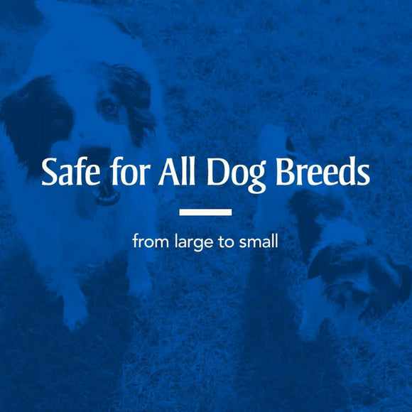 PetArmor Sure Shot 2X Liquid Formula Dewormer For Dog (2oz)