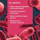 Nulo Functional Probiotic Soft Chew Supplements for Dogs (90 chews)