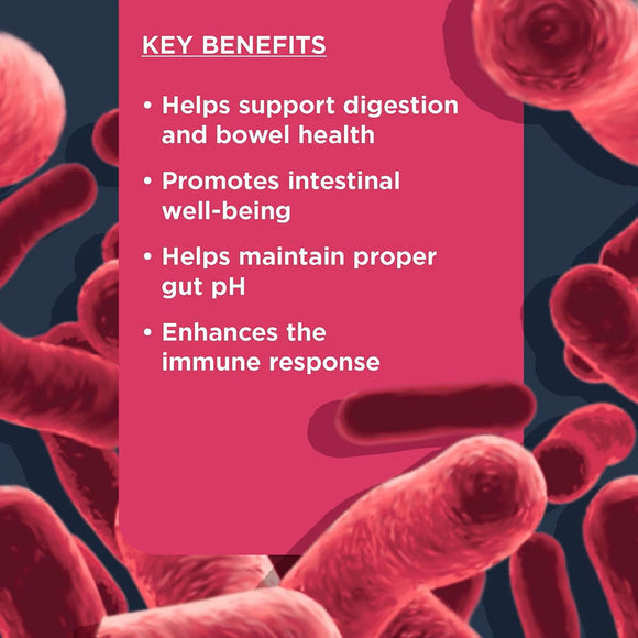 Nulo Functional Probiotic Soft Chew Supplements for Dogs (90 chews)