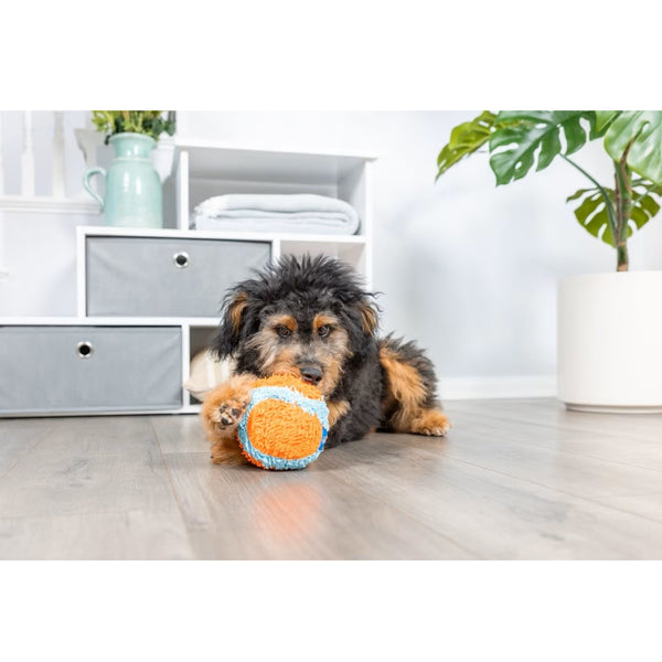 ChuckIt! Indoor Ball Toy For Dogs