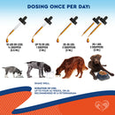 Beloved Pets Natural Yeast Infection Relief Immune & Inflammation Support for Dogs (2 oz)