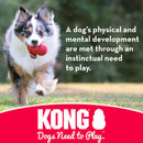 Kong Ball Fetch Toy For Dogs (Small Size)