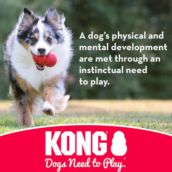 Kong Ball Fetch Toy For Dogs (Small Size)