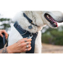 Ruffwear Front Range Dog Collar- Basalt Gray Neck Collar