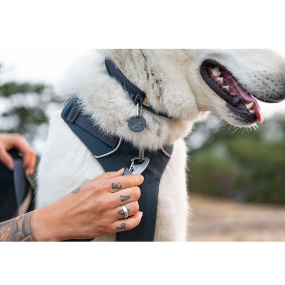 Ruffwear Front Range Dog Collar- Basalt Gray Neck Collar