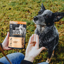 Go! Solutions Benefit Chews Digestion + Gut Health Salmon Recipe Soft & Chewy Treats for Dogs (6 oz)