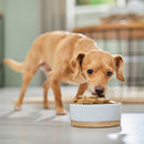 Redbarn Grain-Free Chicken Recipe Rolled Food For Dogs (3 lb)