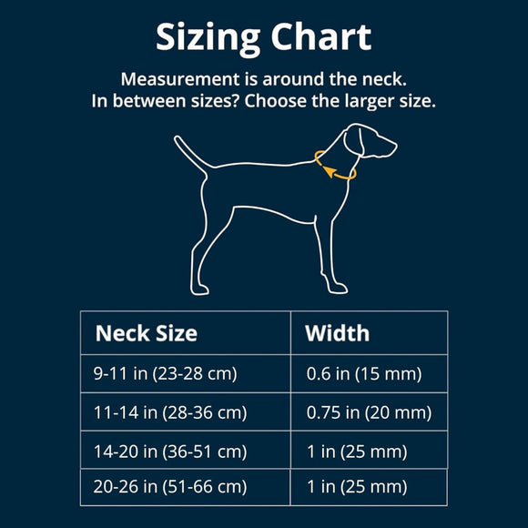 Ruffwear Hi & Light Dog Collar- Alpenglow Pink