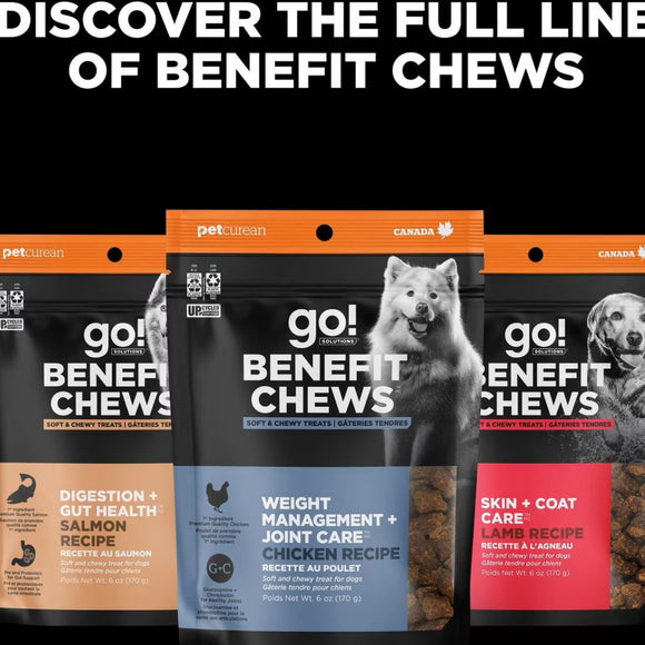 Go! Solutions Benefit Chews Sensitivies Limited Ingredient Salmon Recipe Soft & Chewy Treats for Dogs (6 oz)