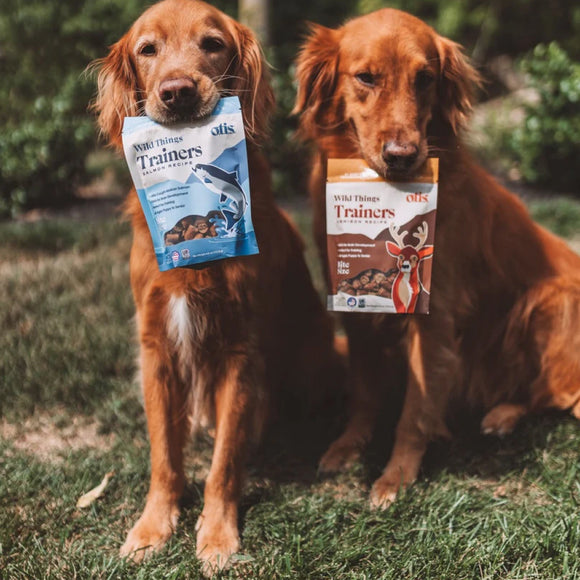 OTIS Wild Things Salmon Trainers Bite-Sized Treats for Dogs (4 oz)